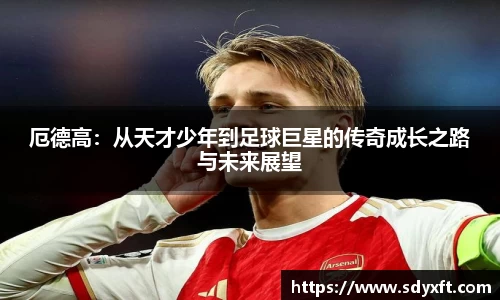 九游体育.九游体育官网入口